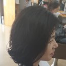 선헤어숍 - 춘천시 영서로 4745 | 선헤어숍