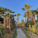 한옥호텔 한라궁 이미지