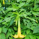 고산동부교회 이미지