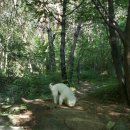 길목민박 이미지