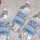 토리수