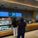 셀렉토커피용인한숲시티점 | 스타벅스 주차번호판 증정 후기, 증정품 수령 조건 및 구성 정리