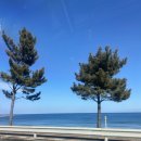 정원온누리약국 이미지