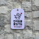 온앤오프24 나나빈 이미지
