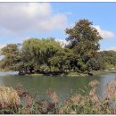 수성랜드 이미지