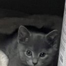 카페정화 이미지