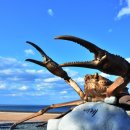 망양리 대게공원 이미지