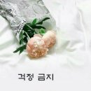 복주는복권방