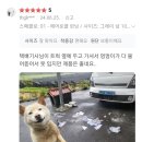 난닝구 살려고 후기를 보는데