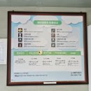 [충북] 단양 패러글라이딩 업체 &#34;패러 이야기&#34; / 대문자 P 커플의 즉흥적인 이용 후기