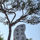 신암면010 Daum카페