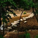 아라메길(1-1) 이미지