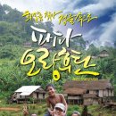 파파랑