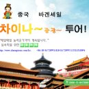 테마항공여행사