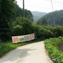 마옥막국수논가운데집