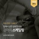 채플린동물병원