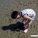 모리치펜션 Daum카페