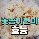 꽃송이가 이미지