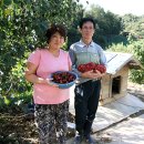 공주농장 이미지