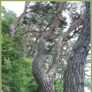 오대산별장 이미지