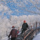 [눈꽃산행] 코스가이드5선 - 치악산 이미지