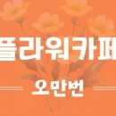 플라워카페. 오만 번