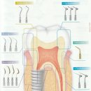 (주)더원덴탈 이미지