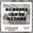 [LSP] 부산 동아대학교 레고시리어스플레이 워크숍 진행 후기_레고 활용 대학교 신입생 진로캠프