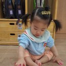 산새세탁 이미지