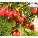 늘 좋은생각 이미지