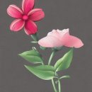 집밥 레시피 이미지