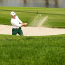 버디골프스쿨 이미지