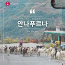 안나푸르나 ABC 트레킹 1일차 포카라에서 지누단다까지, 마르디히말 갈 뻔한 사연