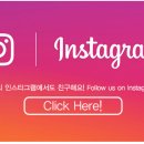 도그스토리 이미지