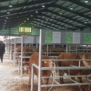 영광전자 이미지