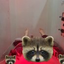 초록나무한의원 이미지