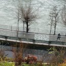 서당공원 화장실 | 스위스 베른 여행 일정, 스위스에서 파리로 이동 파리숙소(Moxy Paris La Villette)추천&amp;숙소근처맛집후기