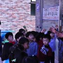 애니카랜드 장기점 이미지