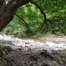 산 민박 이미지