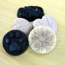 함평손불중학교 이미지