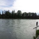 연어의추억 이미지