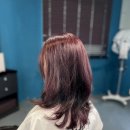 레드플럼 | 울산 중단발 레이어드컷 플럼레드브라운 손상모 염색 후기