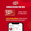 킷캣월드