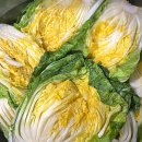 (주)지레이 이미지