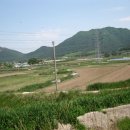 영광 대마 성산리 지석묘군 이미지