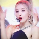 토끼눈썹 이미지