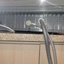 태전동로 이미지