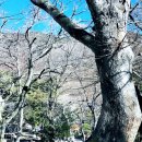 서해명태식당 이미지