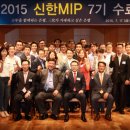 MIP 이미지