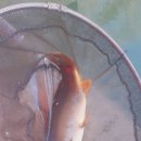 팔미리낚시터 이미지